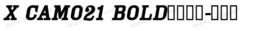 X CAM021 Bold字体下载字体转换